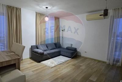 Apartament cu 2 camere de inchiriat Vivalia  zona Aurel Vlaicu - 10