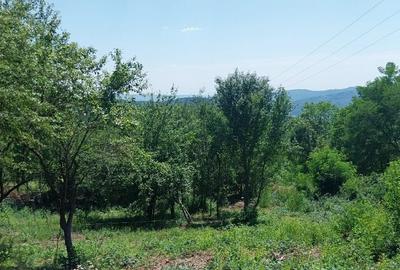 Teren 1600mp de VIS Daesti altitudine 600m Utilitati liniste Totala - 2