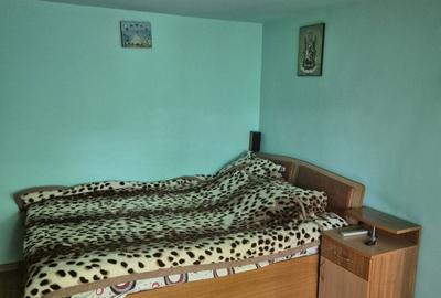 Casă cu 4 camere în Iordăcheanu - 8