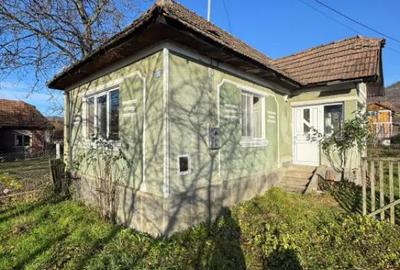 Casă cu 1 camere cu Teren 420 Mp în Tăuții de Sus - 7