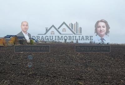 Teren intravilan la E85 / Adjud/ Langa Rompetrol - 3