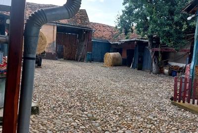 Casa 6 camere suprafata utila 190mp si teren 1440mp,spre vanzare in NOU SB Casa 6 camere suprafata utila 190mp si teren 1440mp,spre vanzare in NOU SB - 6