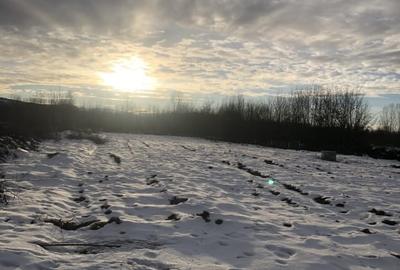 Teren intravilan | 2000 mp | de vanzare- Valea Avrigului - 4