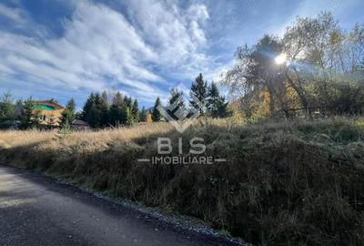 Teren de vanzare 12 ari - COLIBITA - 2
