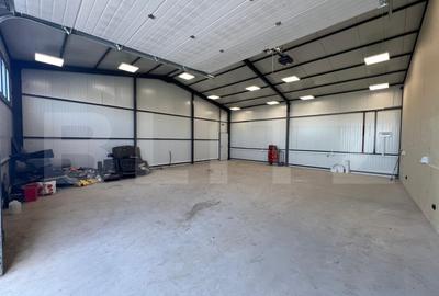 Hala 290,6 mp si 1263 mp teren, zona Carcea - 3