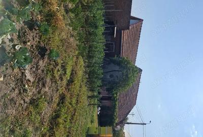 Casă cu 2 camere cu Teren 334 Mp în Vinerea - 6