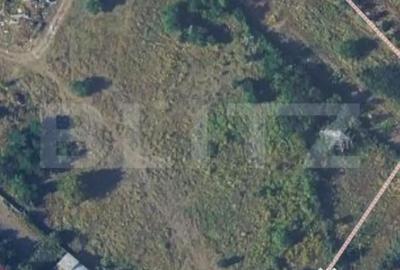 Teren de 2928 mp, în Viișoara