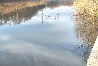 Teren Construcții intravilan de 900 mp, în Snagov - 5