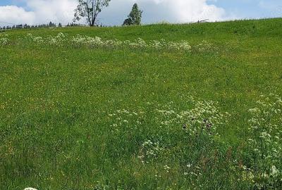 Vand casa 64mp+grajd 35mp+teren 6100mp, curent, apa, internet, deschidere la drum, in sat Glodu - 1