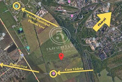 Teren Construcții intravilan de 5000 mp, în Vest - 4