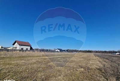 Teren de 2002 mp, în Hemeiuș - 7