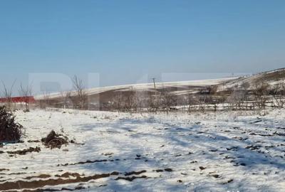 Teren de 79000 mp, în Central - 15