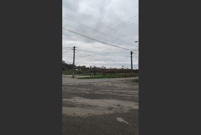 Baicoi Central 1613 mp Parc Petrom - 6