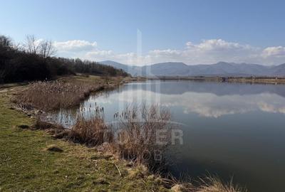 Teren agricol extravilan de 38000.0390625 mp, în Nord - 13