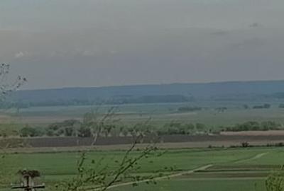 Mă vinde chiar și parcelat - 1