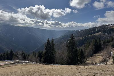 Teren de 5000 mp, în Măguri
