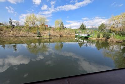 Teren Construcții intravilan de 6000 mp, în Central - 6