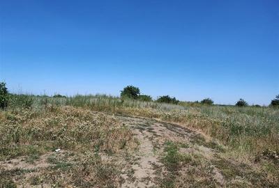 Intravilan   Ciocanesti Dambovita  Investitie ideala la doar 30 min de Bucuresti - 3