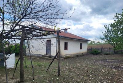 Teren de 8000 mp, în Central - 3