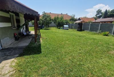 Casă cu 1 camere cu Teren 593 Mp în Simeria - 9