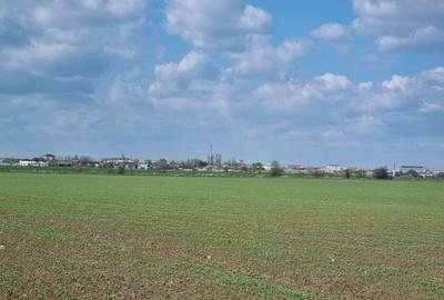Teren Construcții intravilan de 20000 mp, în Vârteju - 2