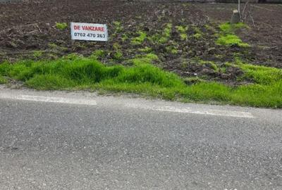 Teren în Movilița - 6