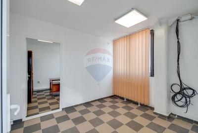 Hala de vanzare, 600 mp constructie, 7000 mp teren, Racari Dambovita - 16