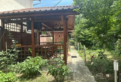 Casă cu 3 camere cu Teren 484 Mp în Paltiniș - 3