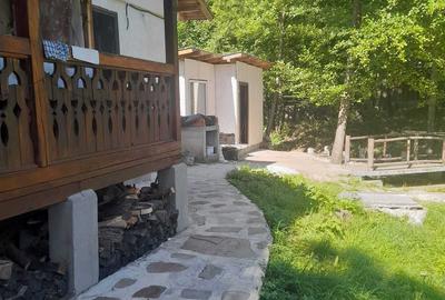 Casă cu 3 camere cu Teren 850 Mp în Central - 3