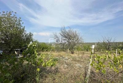 Teren de 1665 mp, în Dealuri Oradea