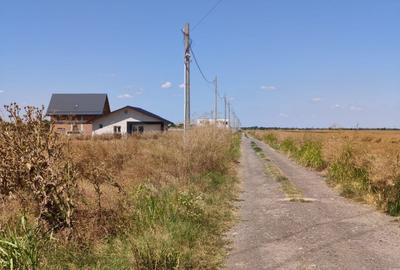 Teren Construcții intravilan de 441 mp, în Vidra - 5