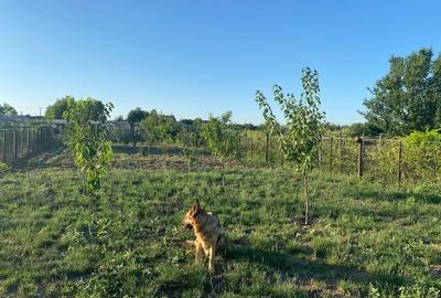 Vand Afacere la Cheie si Locuinta - 7