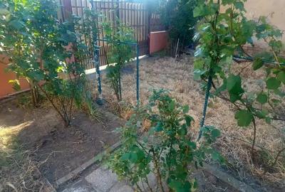 Casa cu teren 710 mp, Victor Hugo Fratelia Casa cu teren 710 mp, Victor Hugo Fratelia - 3