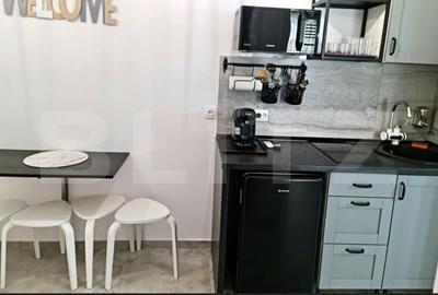 Apartament 2 camere, 46 mp, cartier Transalpina - 3