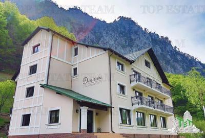 Pensiune 4* in Baile Herculane, investitie turism - 1