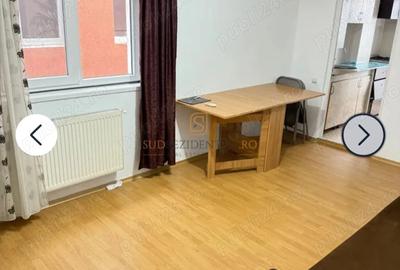 Apartament cu 2 camere semidecomandat în Sălaj - 4