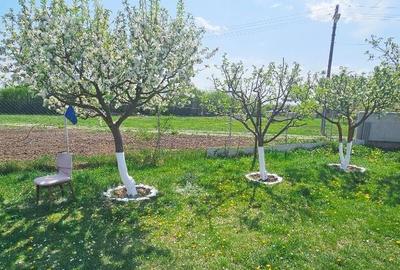 Proprietate Slobozia-Roznov, casa mansardata, teren si livada - 36