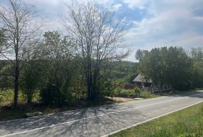 Spațiu comercial, în Lipia - 4