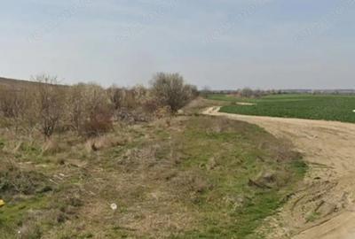 Teren de 2471 mp, în Cornetu - 1