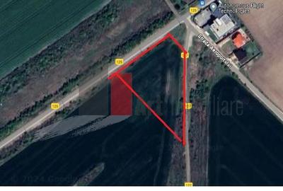 Teren de 11500 mp, în Clinceni - 2