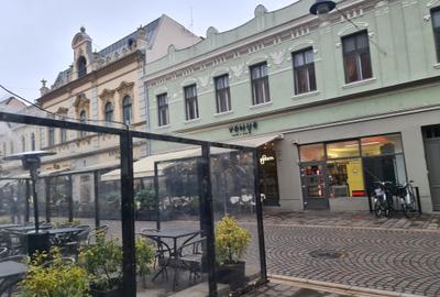 Garsonieră cochetă ultracentrală-Vasile Alecsandri - 9