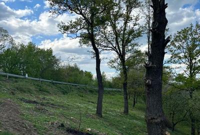 Spațiu comercial, în Sârbi - 3