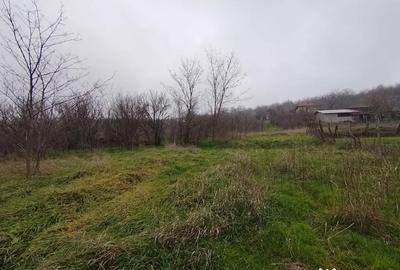 Teren în Brestei - 4