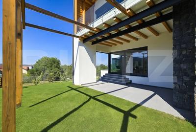 Vila  spectaculoasa de vanzare in Faget - 1