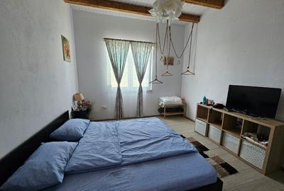 Casă individuală cu 3 camere cu Teren 1260 Mp în Crișan - 7