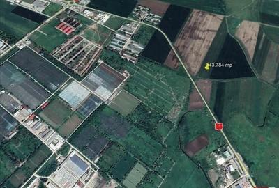 Teren agricol extravilan de 43784 mp, în Exterior Nord - 1