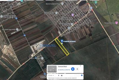 Teren de 30000 mp, în Brazi - 1