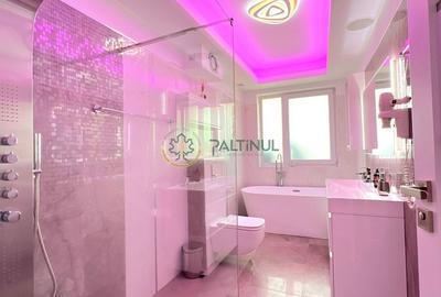 Apartament cu 3 camere decomandat, mobilat în Ștefan cel Mare - 10