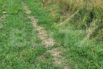 Teren Gura Humorului deschidere la DN - 3