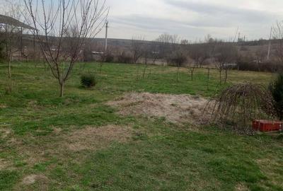 Teren intravilan - 1